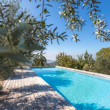 Villa Emi Zgornje Skofije Εξωτερικό φωτογραφία