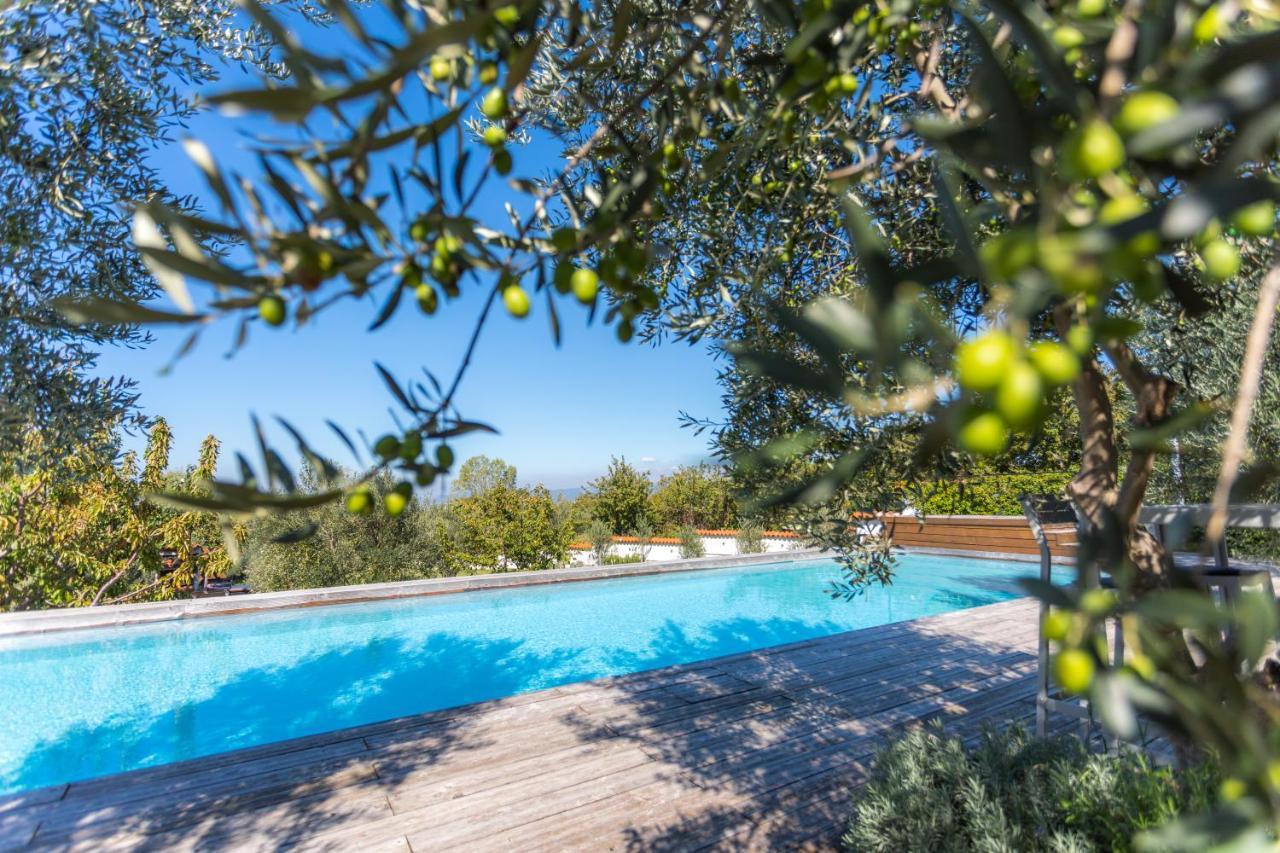 Villa Emi Zgornje Skofije Εξωτερικό φωτογραφία