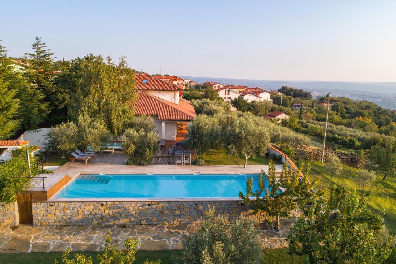 Villa Emi Zgornje Skofije Εξωτερικό φωτογραφία