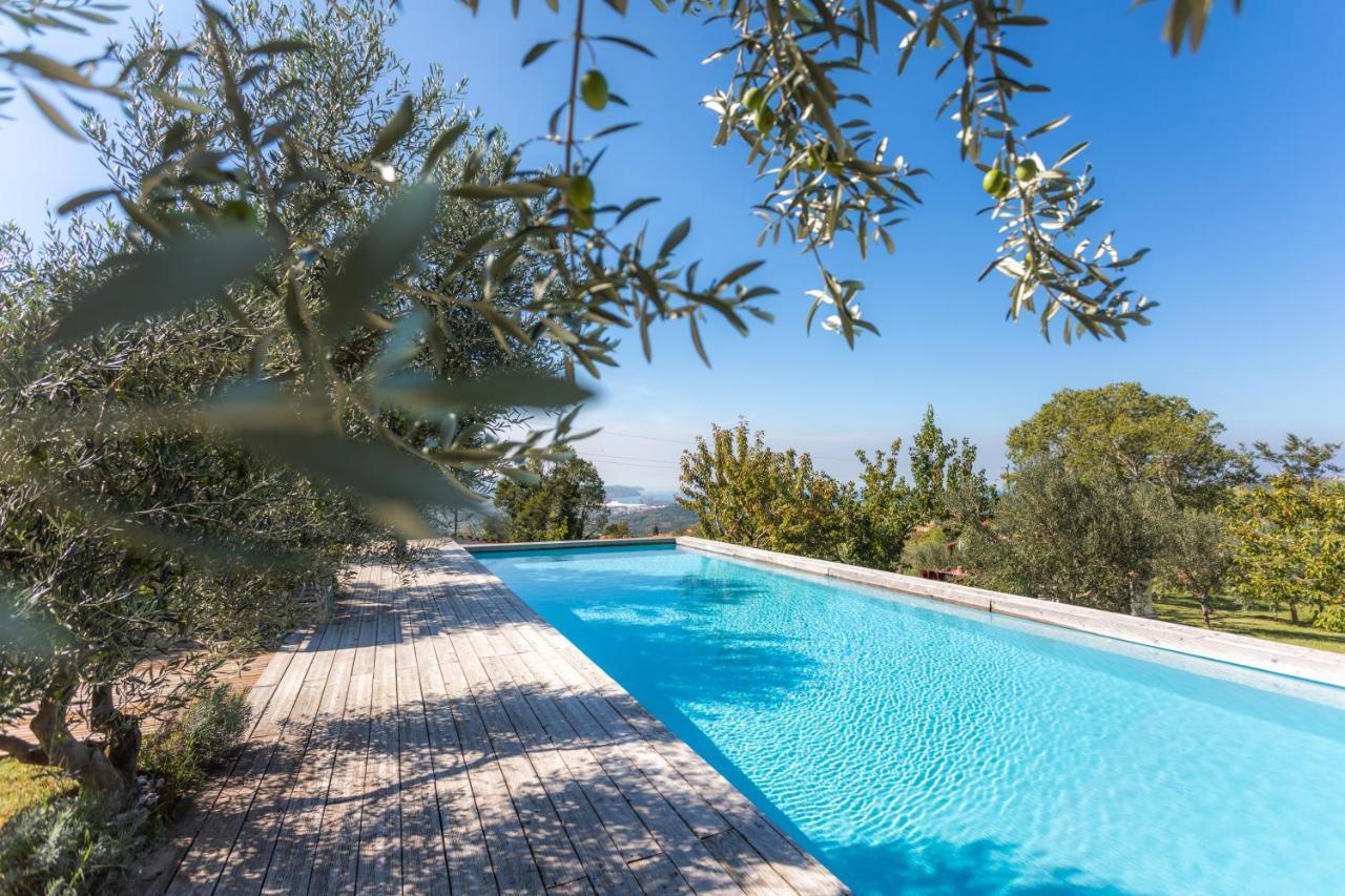 Villa Emi Zgornje Skofije Εξωτερικό φωτογραφία