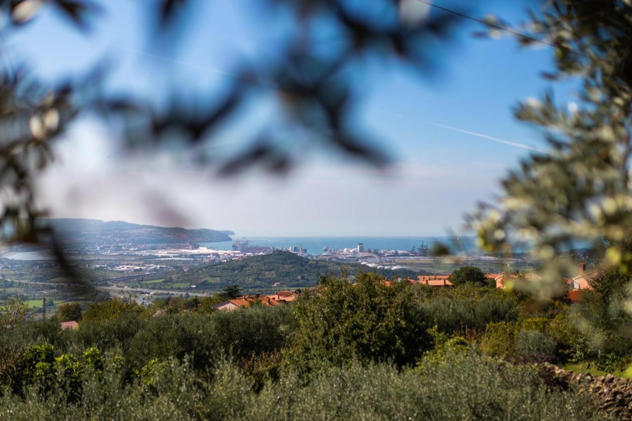Villa Emi Zgornje Skofije Εξωτερικό φωτογραφία