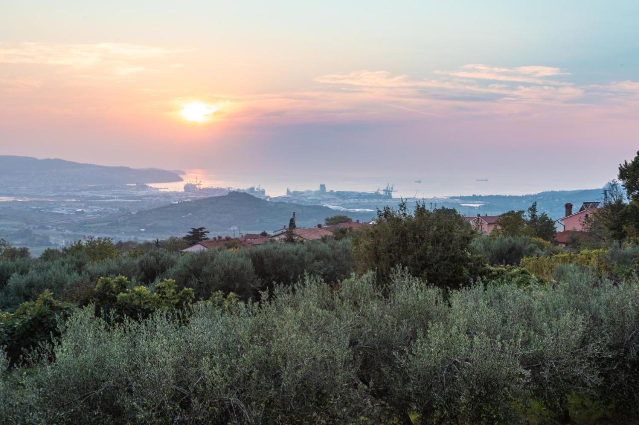 Villa Emi Zgornje Skofije Εξωτερικό φωτογραφία