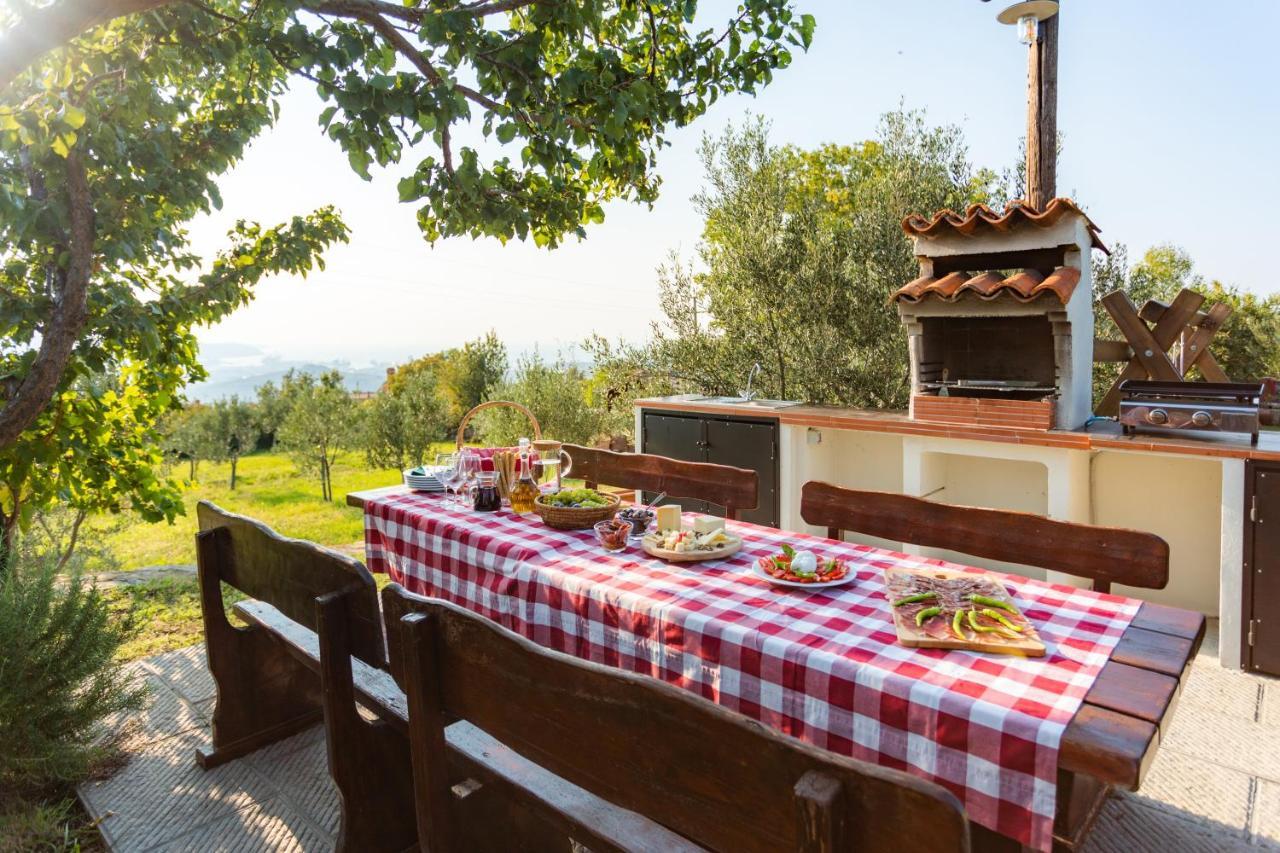Villa Emi Zgornje Skofije Εξωτερικό φωτογραφία